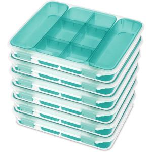Sterilite 14028606 Divided Storage Case for Crafting and Hardware(6 Pack)